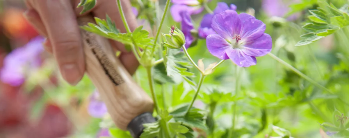 Produtos de alta qualidade para casa e jardim