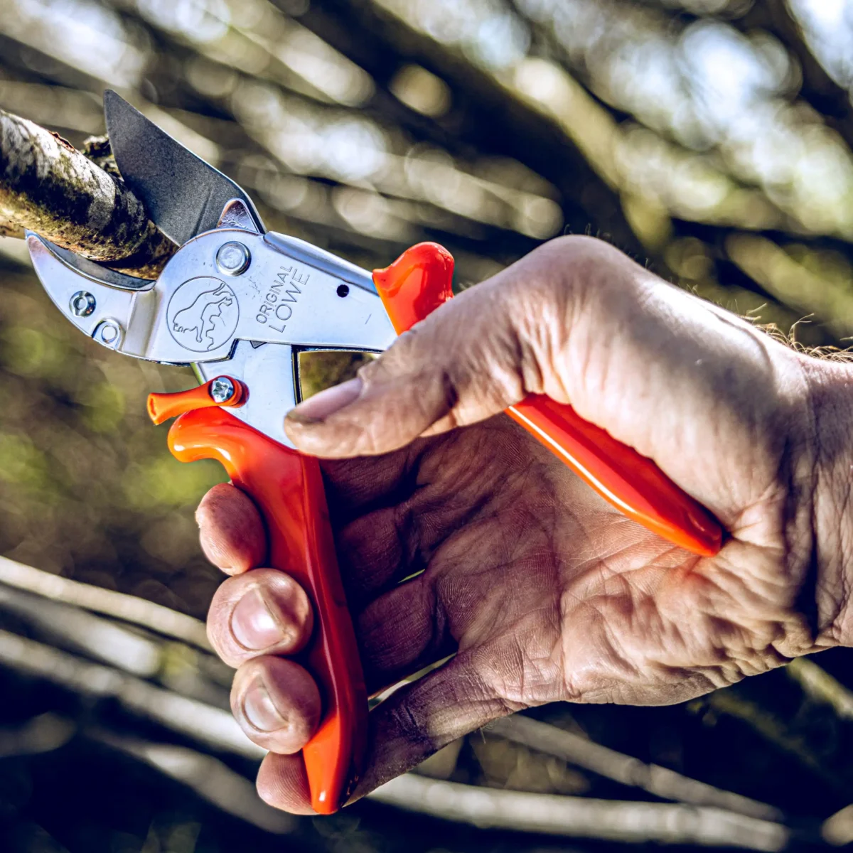 Amboss Gartenschere Werkstattschere große Äste