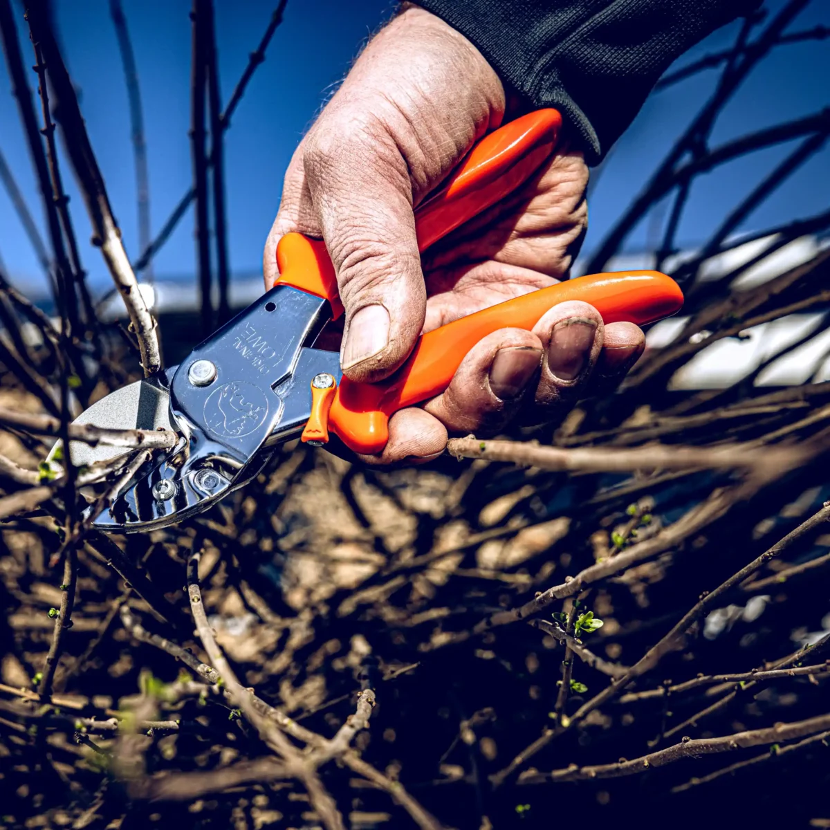 Pega original Löwe 1 para mãos mais pequenas