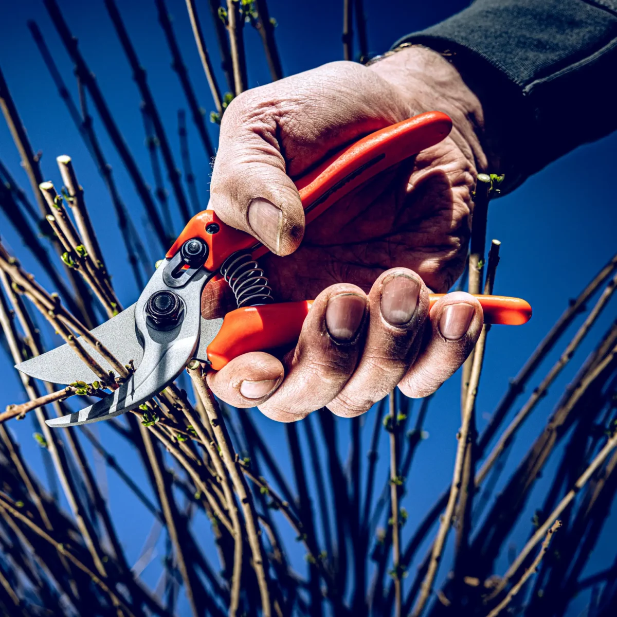Tesoura de jardim Löwe 14.107 Economic Clean Cut para mãos pequenas