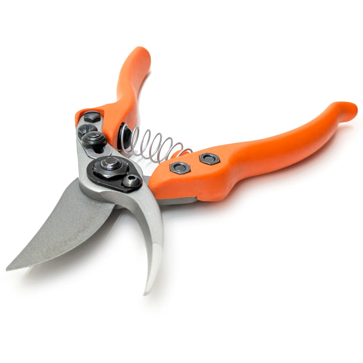 Tesoura de podar pequena Löwe 12 Precision Clean Cut para mulher