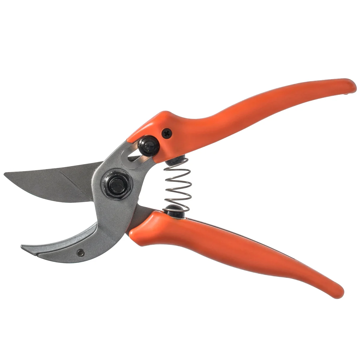 Original Löwe 15 secateurs