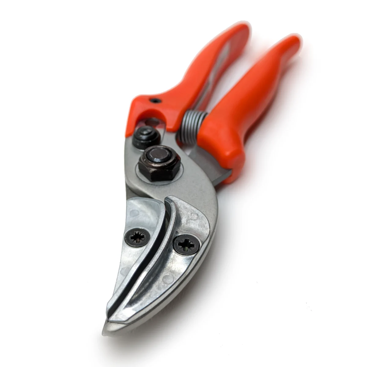 Tesoura de apresentação original Löwe rose