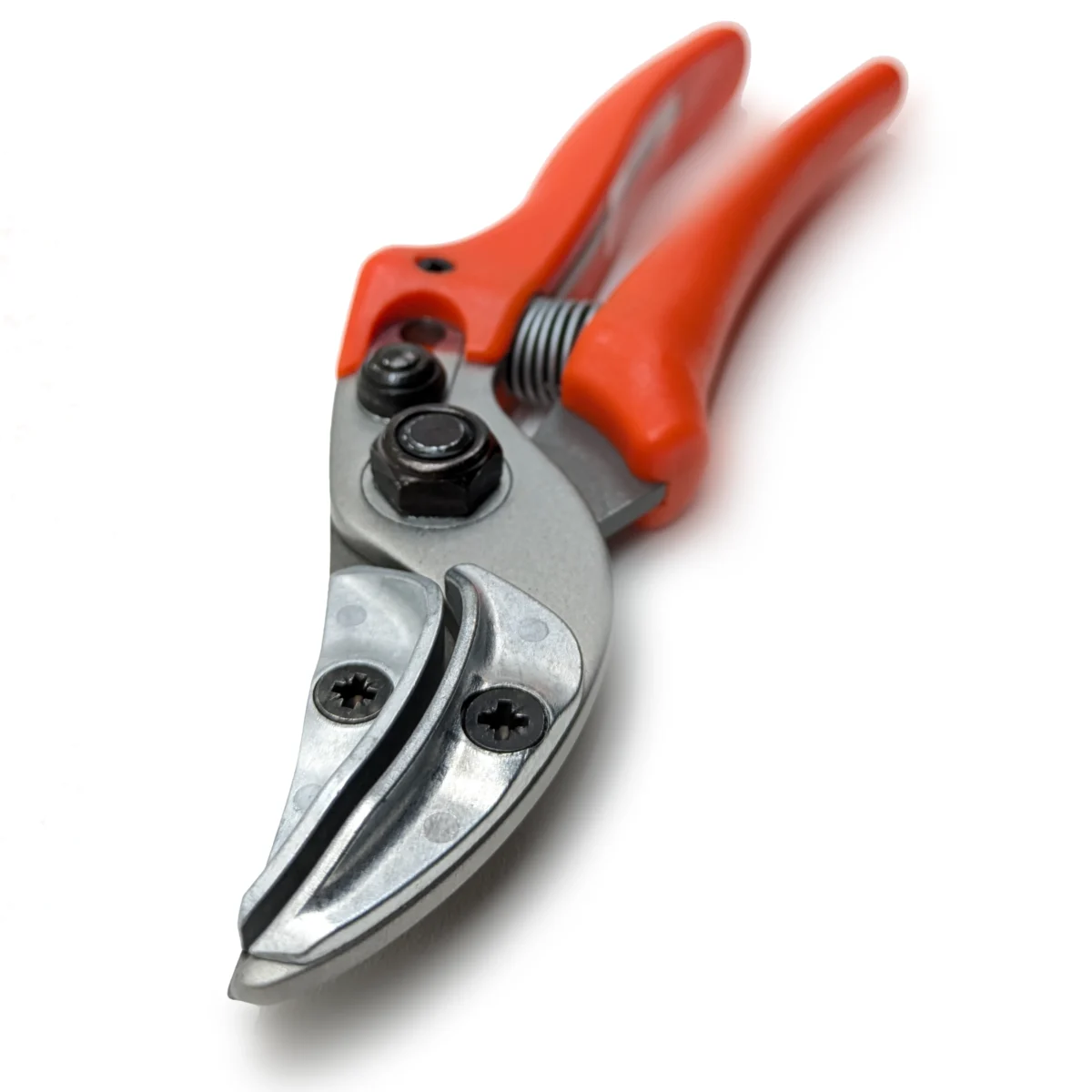 Tesoura de apresentação original Löwe rose